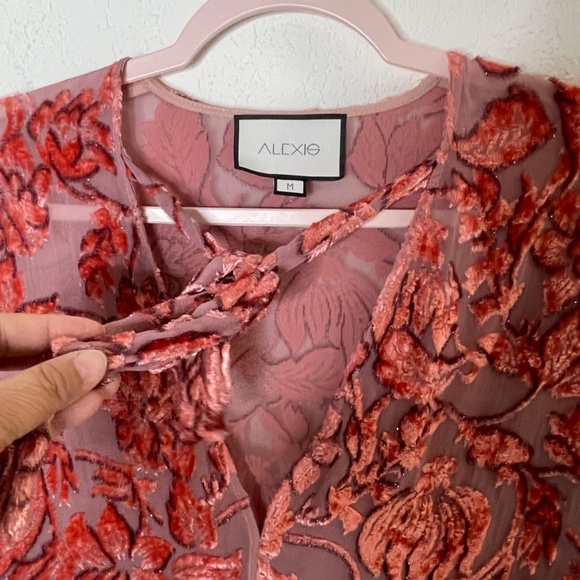 Alexis Long Sleeve Silk Sheer Velvet Top Front Tie Deep V Neckline Size M Salmon - Picture 7 of 12